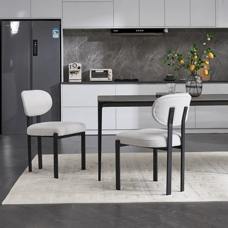 Modern Dining Room Chairs Set of 2