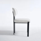 Modern Dining Room Chairs Set of 2