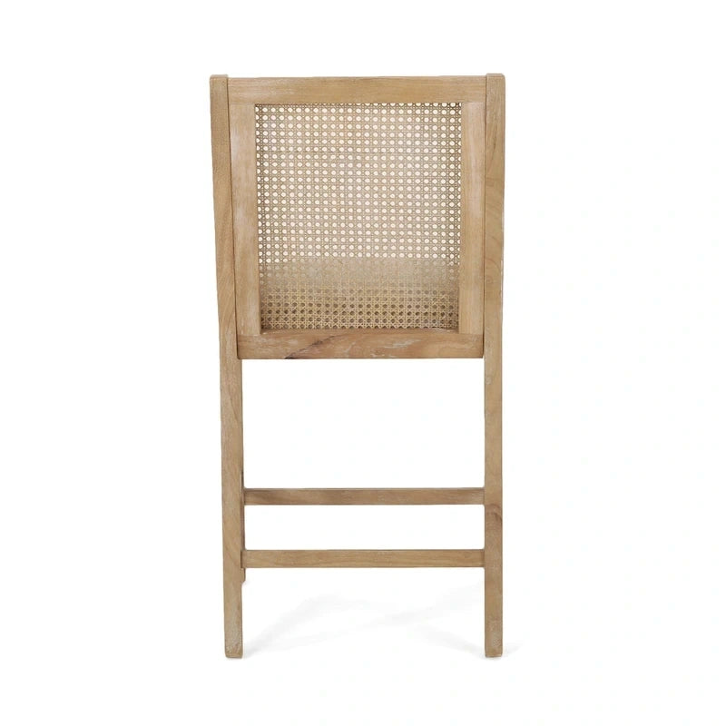 Cataldo Fabric Upholstered Wood and Cane 25.5-Inch Counter Stools (Set of 2)