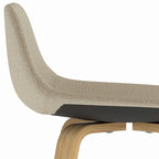 WYNDENHALL Cacey Mid Century Modern Bentwood Counter Height Stool (Set of 2) - 20.7 x 21.1 x 36.6